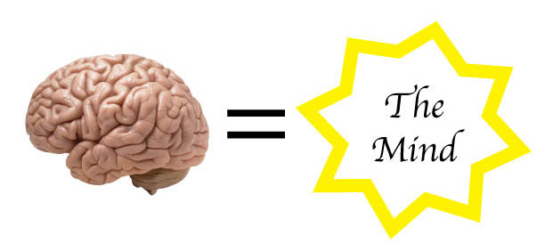 Brain-=-Mind