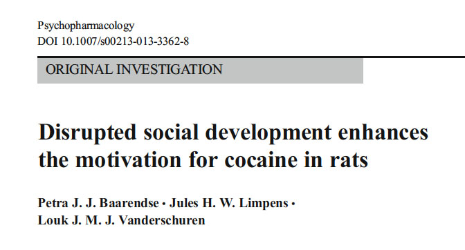 Title. Baarendse PJJ et al. 2011